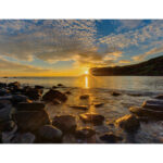 Samsung IF025R LED Interno - LH025TE3F013231